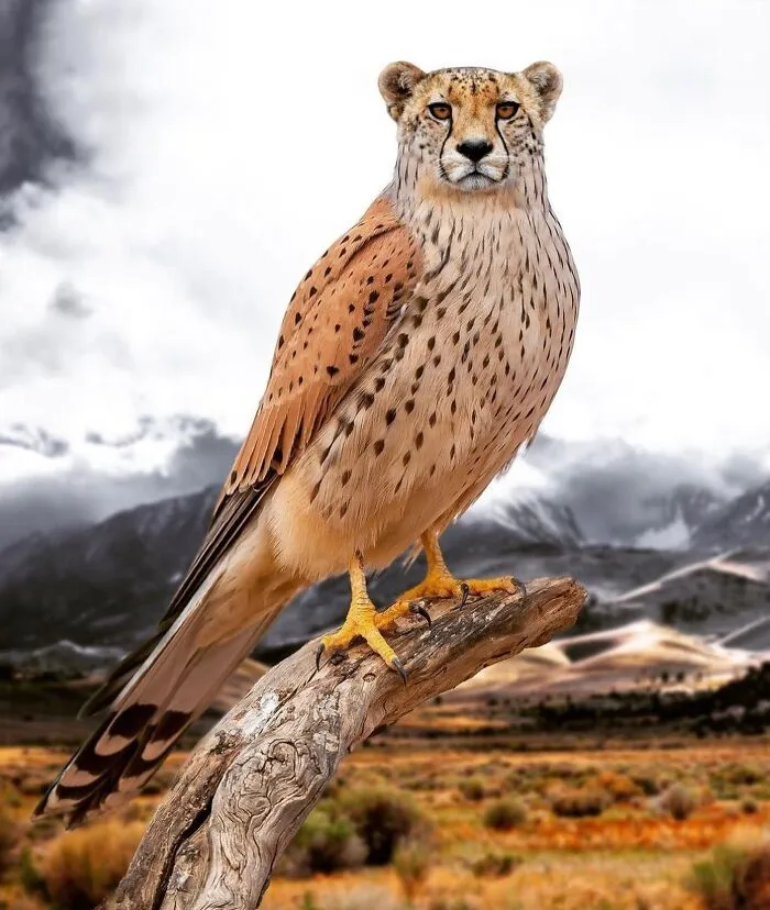 68 Imaginary Creatures That I Photoshopped By Fusing Two Existing Ones