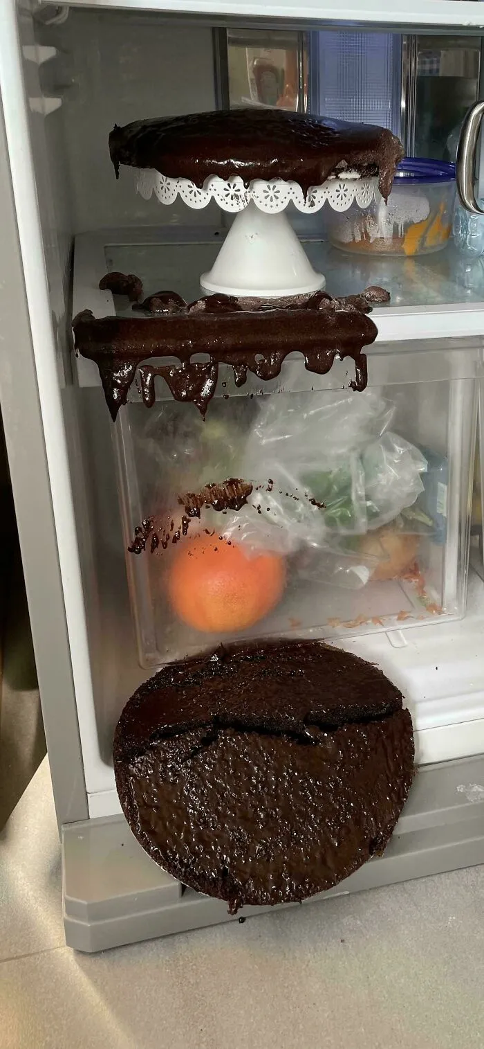 It's My Daughter's Birthday And I've Made Her A Cake. It's Been Cooling Down In The Fridge. Let Me Just Check On It Real Quick