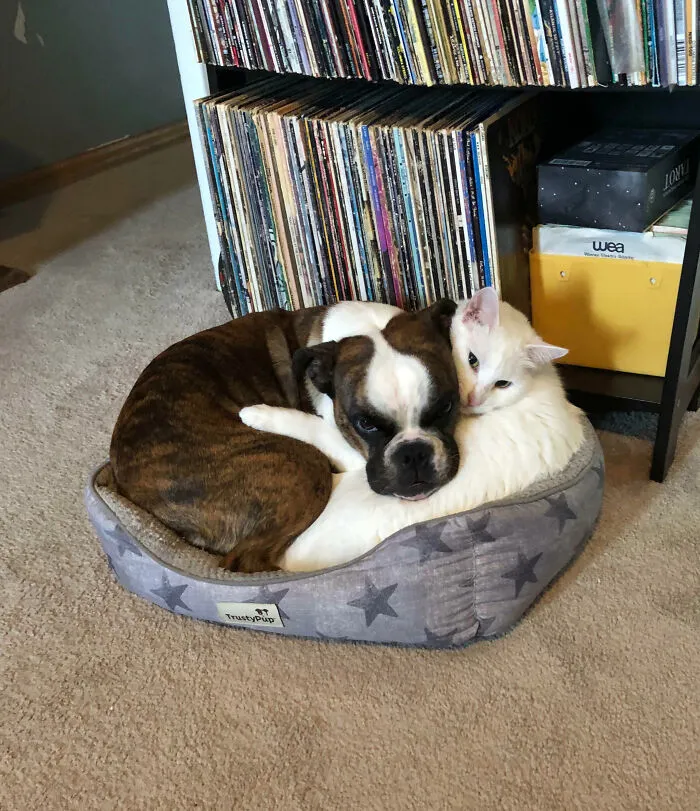 Colin And Mango In A Supportive Embrace