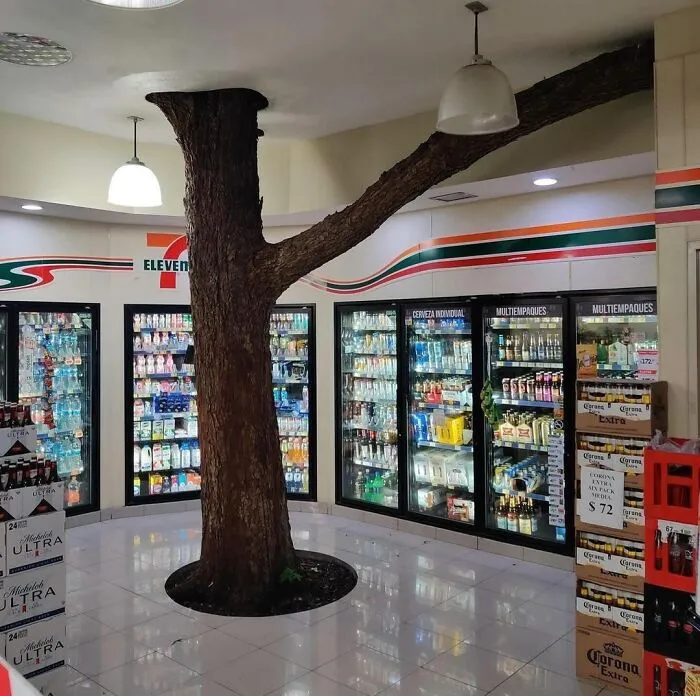 Tree inside a convenience store, surrounded by beverage coolers, showcasing unique design elements.