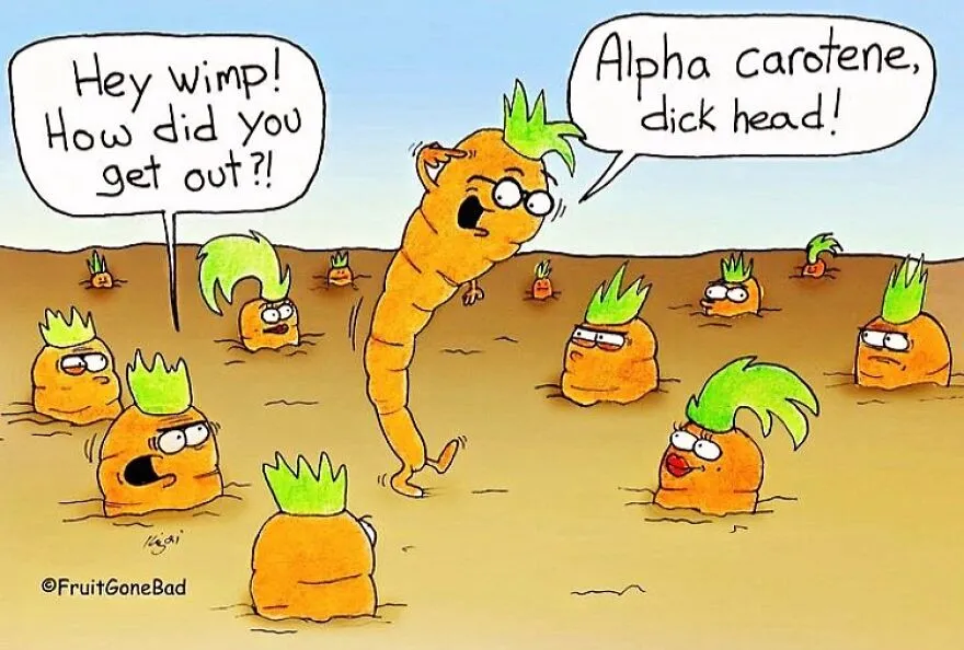 21 Slightly Inappropriate Comics By “Fruit Gone Bad” (New Pics)