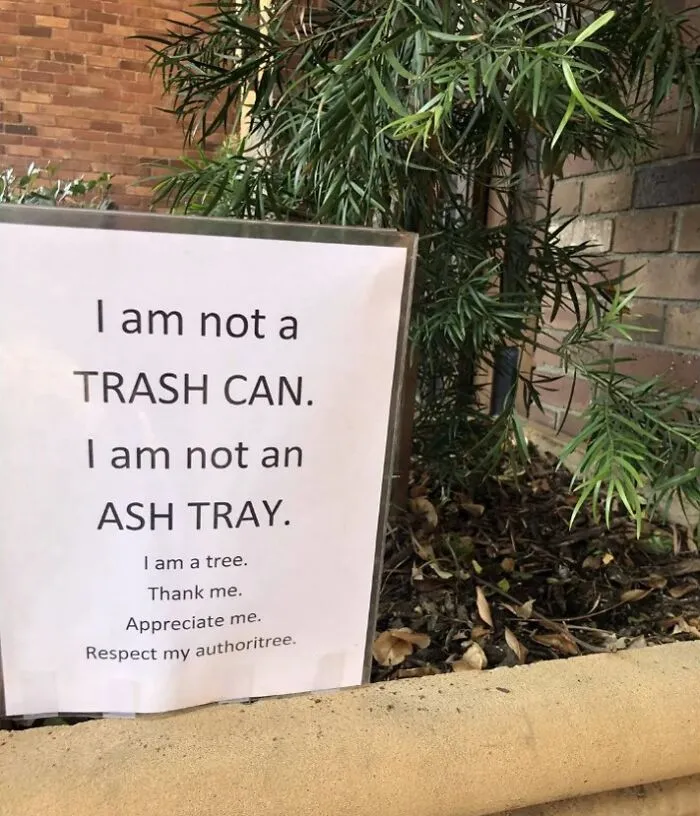 Never Mistreat The Trees