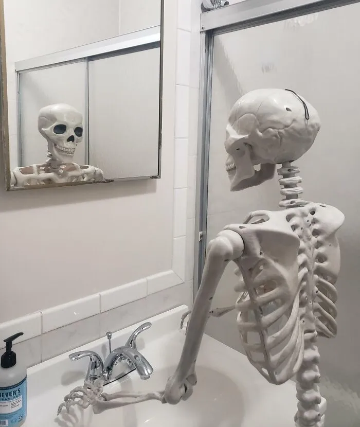 My Wife And I Have Been Placing A Skeleton We Brought In Different Situations For The Other One To Find. Needless To Say, This Is My Favorite One So Far