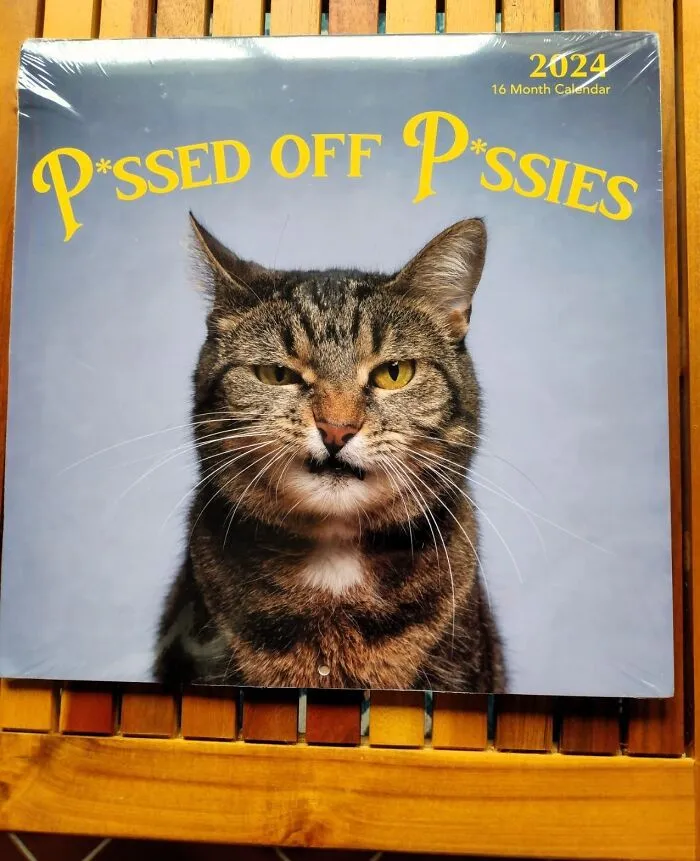 Make Every Month A Claw-Some Adventure On Her Wall Because Nothing Says 'I Appreciate Your Cattitude' Like A <span Style="Font:inherit;color:#d74b1f;"> Hangable Gallery Of Grumpy Kitties</Span>