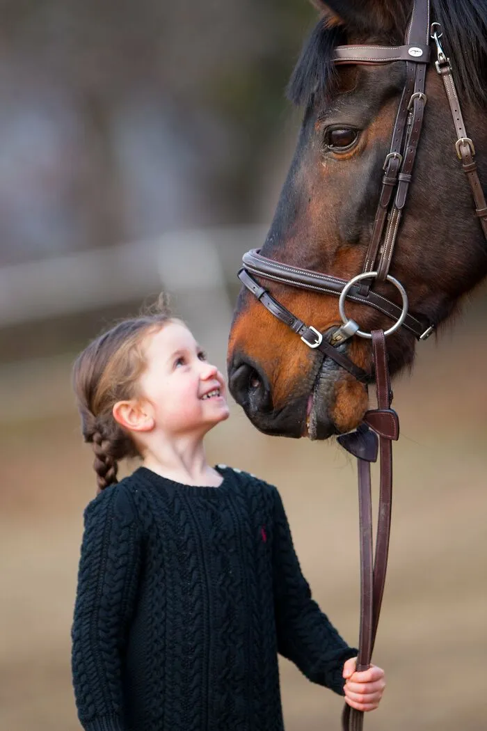 A Horse As A Pet (9 Pics)