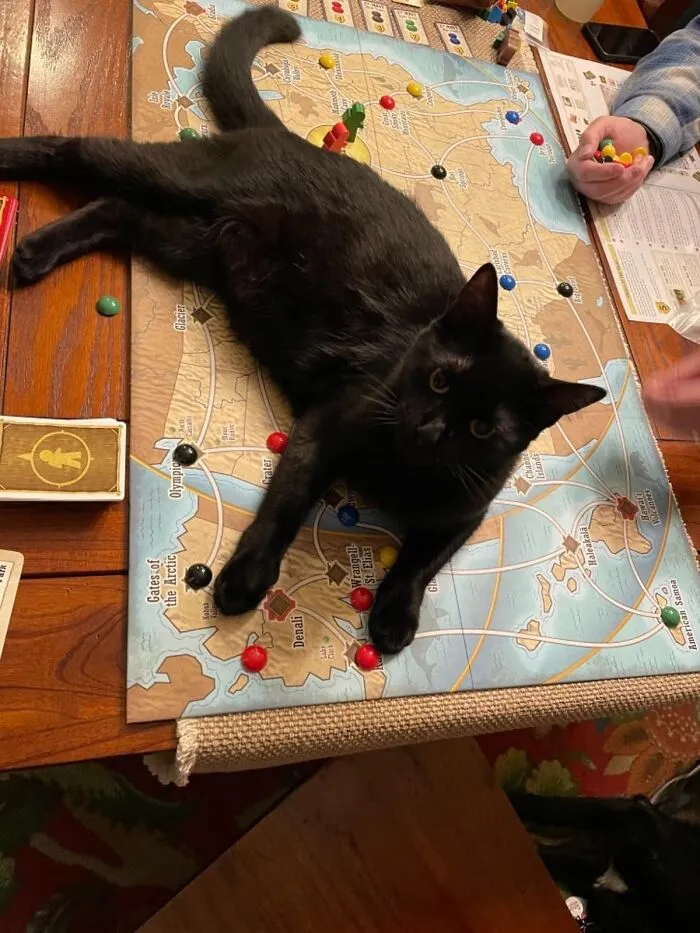 No Hiking Boots? No Problem! Gift Your Gal An Indoor Expedition With <span Style="Font:inherit;color:#d74b1f;"> 'Trekking The National Parks' Board Game</Span>