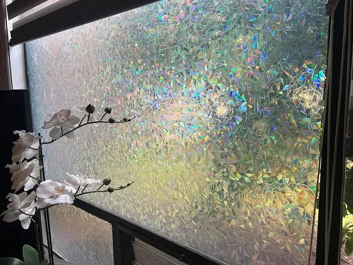 Keep The Nosy Neighbors At Bay And Your Room Insta-Ready With A Rainbow Window Privacy Film That Throws Shade In The Most Fabulous Way