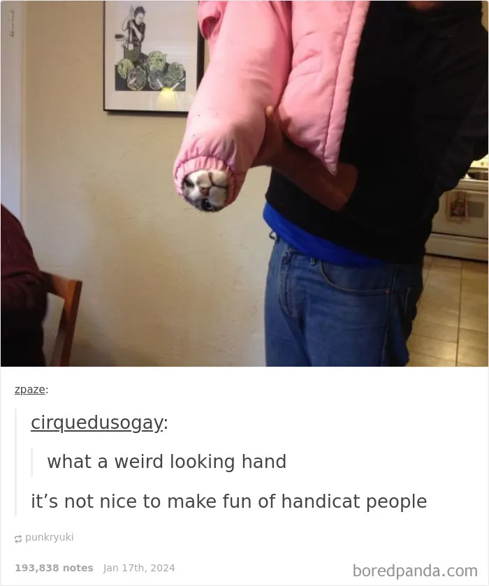 50 Animal Pics That Fit Perfectly Into Memes
