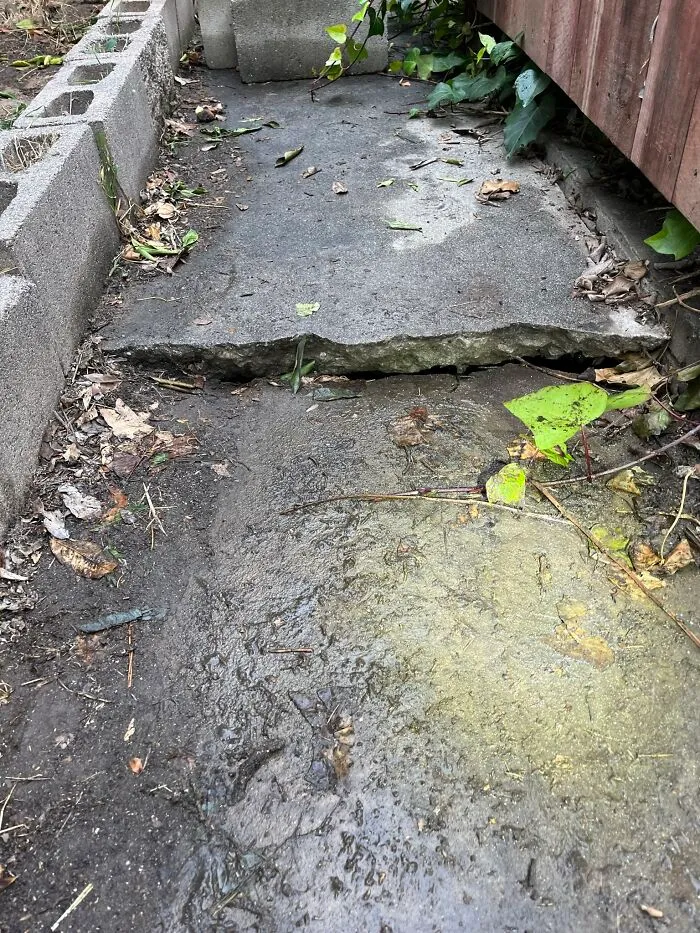 30 ‘Nightmares’ And ‘Miracles’ Spotted During Structural Inspections (New Pics)