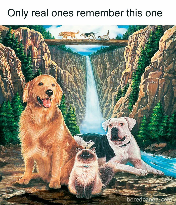 50 Best Pics From The ‘90s That Have Resurfaced On This IG Page