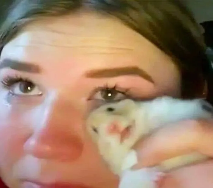 A girl holding a hamster close to her eye, creating a weird and quirky expression.
