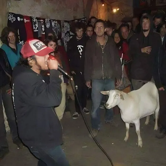 A person singing into a microphone surrounded by a crowd indoors, with a goat curiously watching. Cursed pics moment.