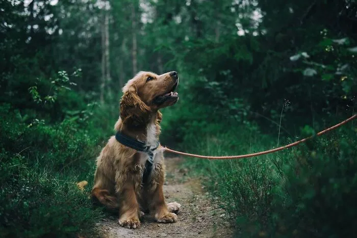 “Has Done Wonders For My Mental Health”: 45 Small Life Changes That Made People Happier