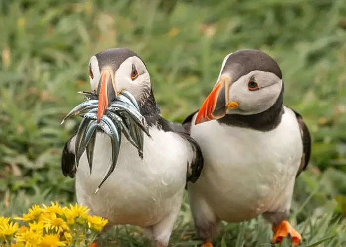 Seriously, Would You Share Some?  (2020)