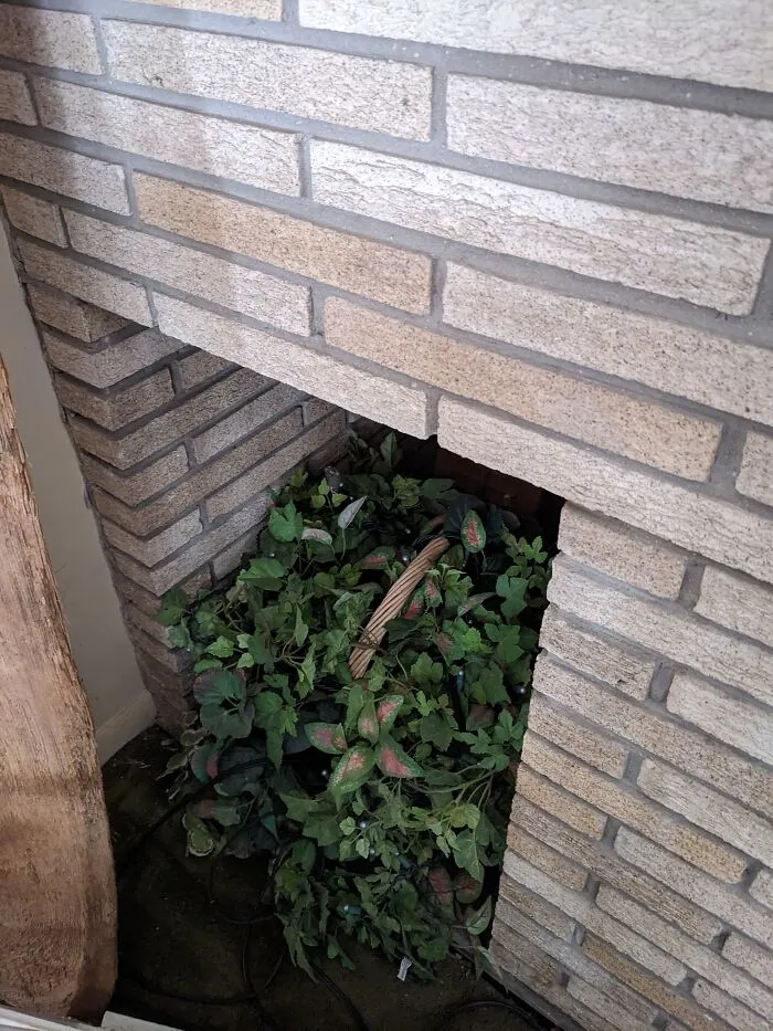 Empty Space On The Opposite End Of The Fireplace. Not Sure What It Was For. It Now Holds Fake Plants