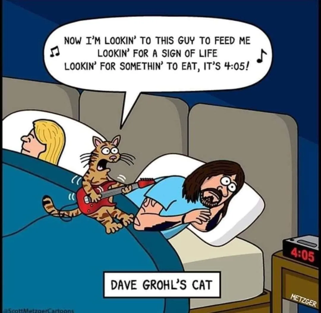 Dave Grohl's Cat