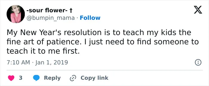 People Are Cracking Up About 35 Hilarious New Year Resolutions From And About Kids Circulating On X