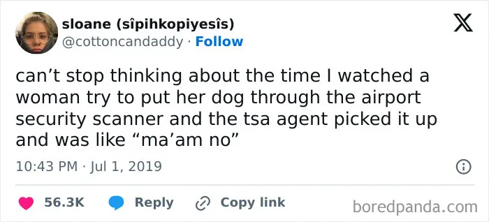 People Are Sharing Their Most Amusing Airport Security Tales, Here Are The 35 Best Ones