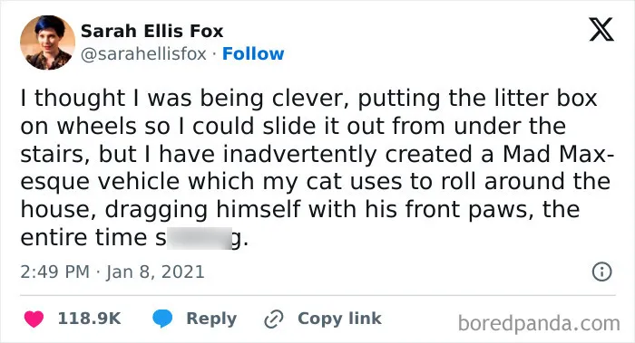 Your Daily Dose Of Kitty Content, Courtesy Of 'Cattos Being Cattos' (50 Posts)