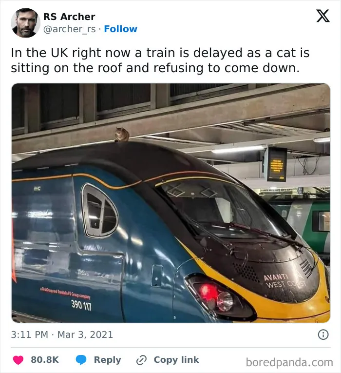 50 Memes That Display British Humor At Its Finest