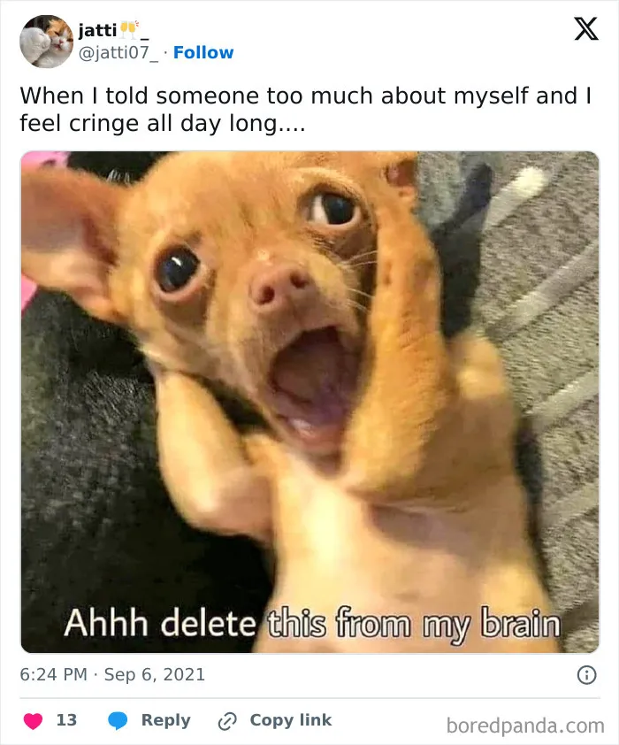 50 Funny Memes For Introverts That Might Make You Feel Understood