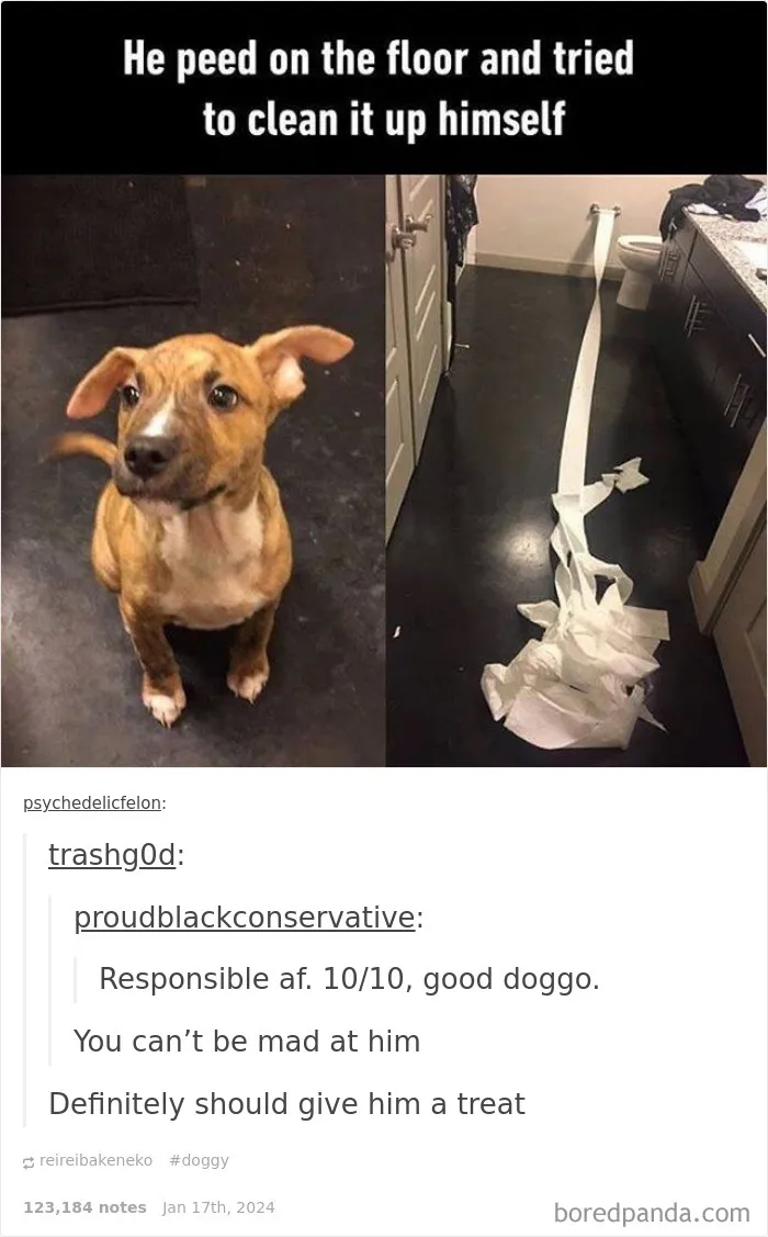 50 Animal Pics That Fit Perfectly Into Memes