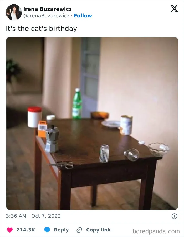Your Daily Dose Of Kitty Content, Courtesy Of 'Cattos Being Cattos' (50 Posts)