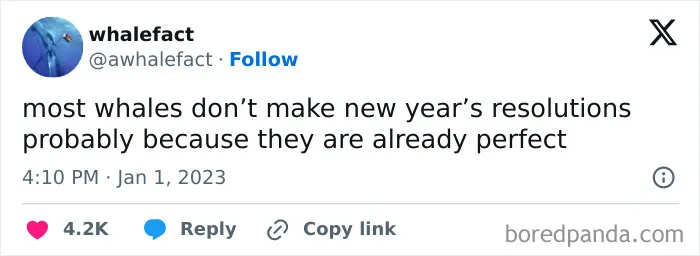 Tweet about whales not making New Year's resolutions because they are already perfect, reflecting humor in resolutions.