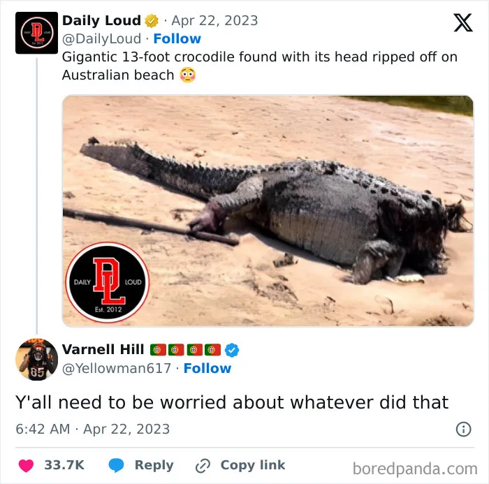 What Was It