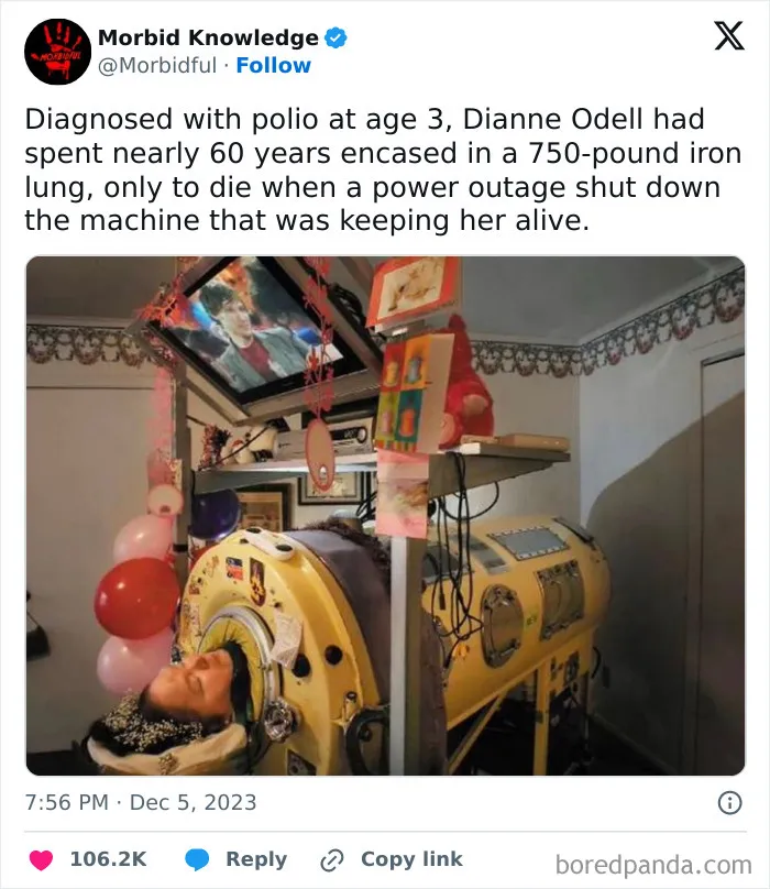 Imagine Being Alive Like This
