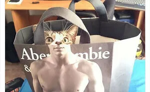 This Page Shares ‘Why You Should Have A Cat’ And Here’s 50 Of The Most Compelling Reasons (New Pics)