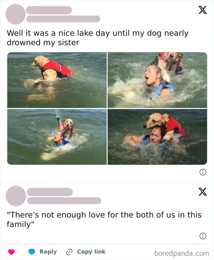 Woof🤿irl