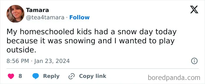 30 Times Parents Made The Internet Giggle With Their Snow Day Struggles
