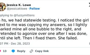 "Cancelled His 1st Class Ticket": 30 People Share The Pettiest Things They've Ever Done