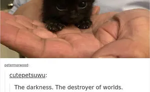 35 Times Animal Pics Were Just Perfect For Memes