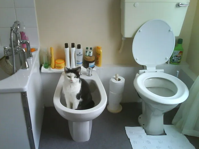 30 Items That Are Only Popular In Some Countries, Even Though They Should Be Popular Worldwide
