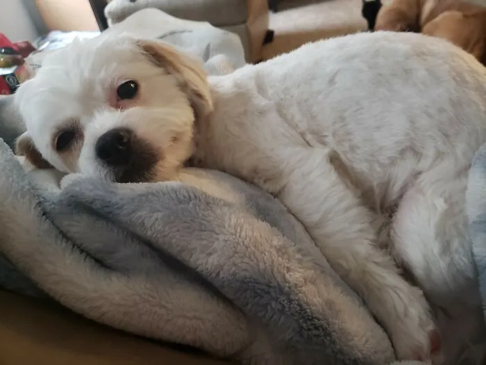 Pearl Girl Is A Sleepy Girl Now