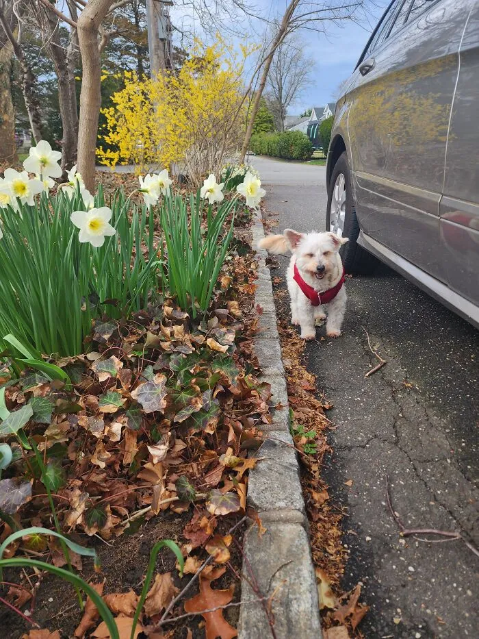 Caught Gg Mid Sneeze After Smelling The Flowers