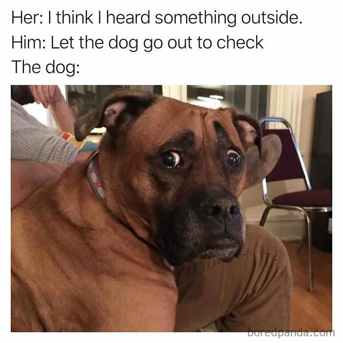 50 Hilarious Memes To Help You Better Express How You’re Feeling Today