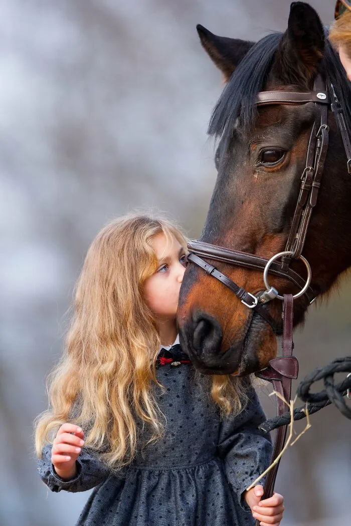 A Horse As A Pet (9 Pics)