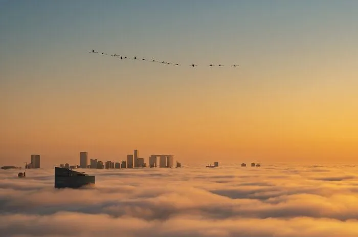 Architecture / Cityscapes, 3rd Place: Over The City By Ammar Alsayed Ahmed