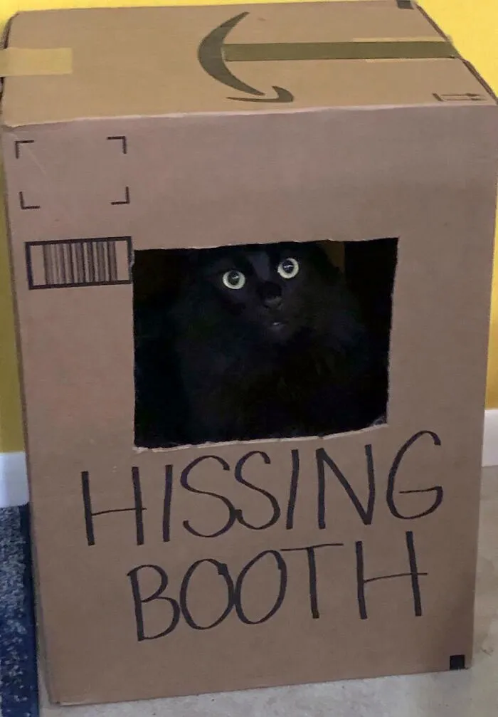 Harrison Is Ready For Valentine’s Day