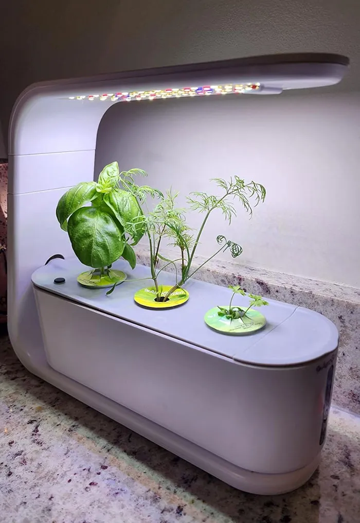 Spruce Up His Culinary Prowess With This Sleek Aerogarden Sprout - <span Style="Font:inherit;color:#d74b1f;"> A Hydroponic Herb Garden Kit</Span> For Fresh And Safe Homegrown Herbs At His Fingertips
