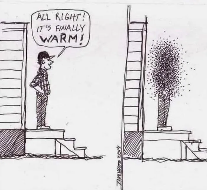 When Finnish Summer Finally Arrives 😀