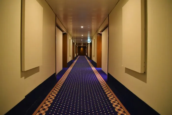 Someone Asked “What Is Something You Do In A Hotel, You Never Do At Home?”, And 29 People Delivered