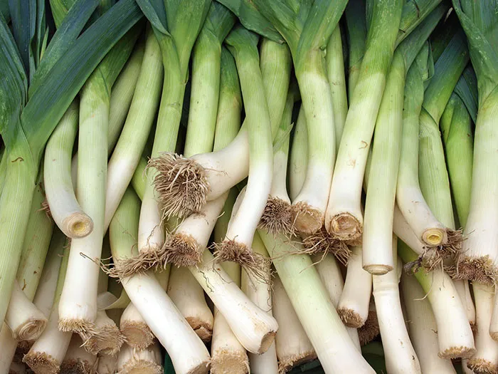 Leek