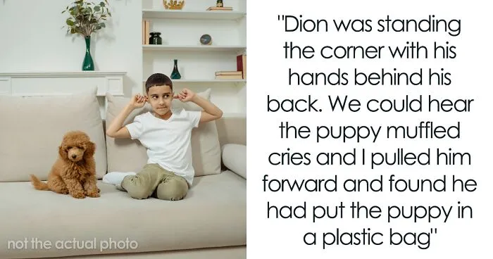 Woman Changes Her Mind About Giving A Puppy To Nephew When He Tries To Steal It, Asks If It’s Wrong