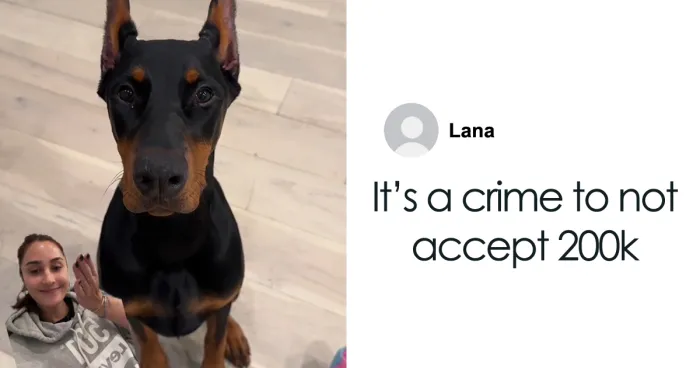 “I Birthed Her”: People Fume After Woman Turns Down $200k Offer From Stranger To Buy Her Dog