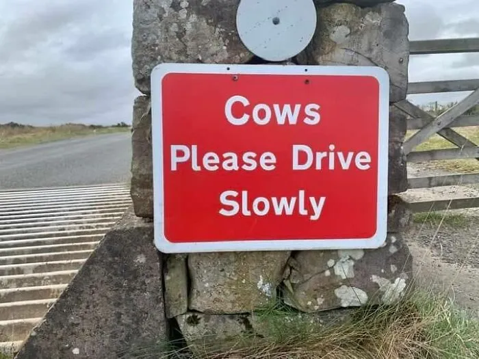 “You Had One Job”: This Online Group Shares The Funniest Examples Of Failing (50 Pics)