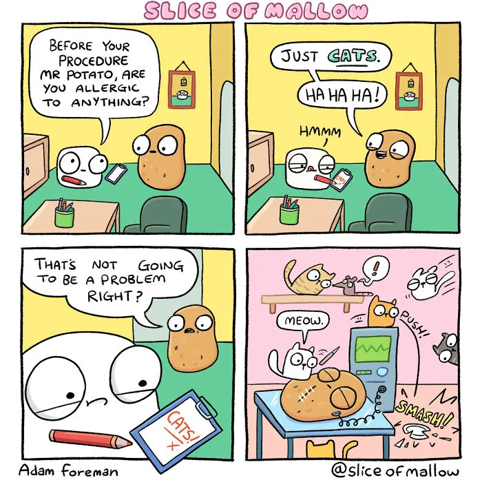 30 Humorous Comics Of Marshmallow Navigating Everyday Life By Adam Foreman